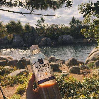 今天买什么特马